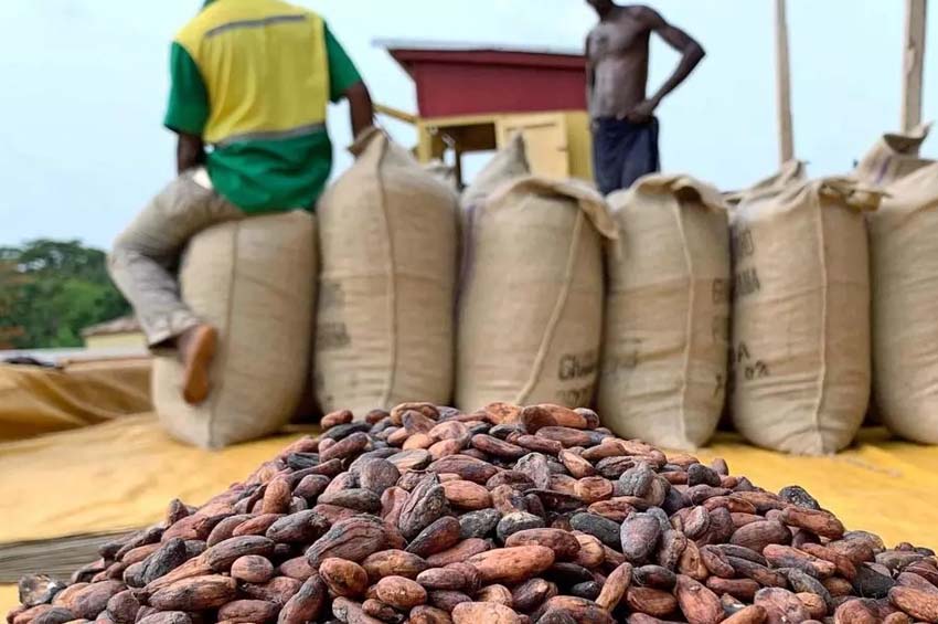 Des résultats riches sur le SERP de Google lors de la recherche de « café cacao »