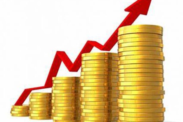 croissance