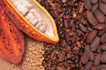 café-cacao, Café et cacao