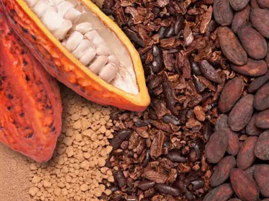 café-cacao, Café et cacao