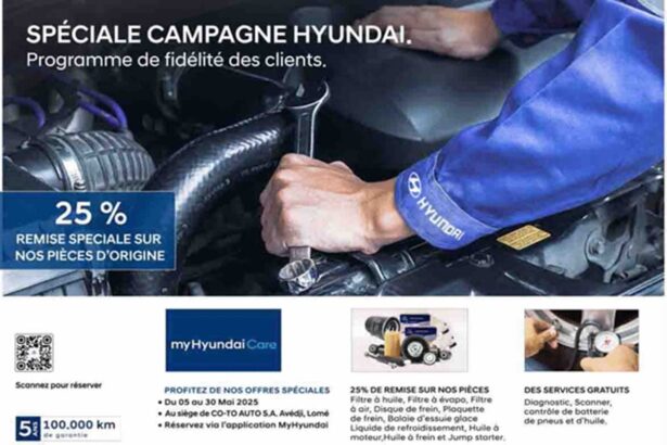 Hyundai Togo