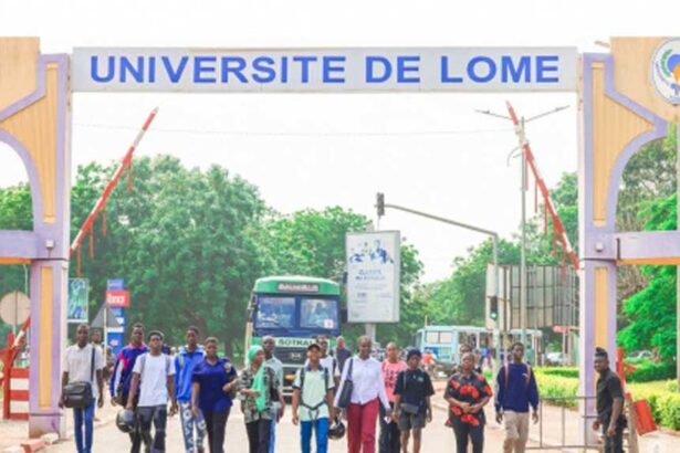 université de lomé, site web, plateforme