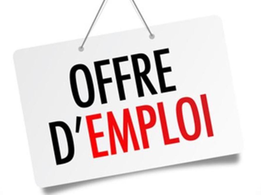 recrutement, société