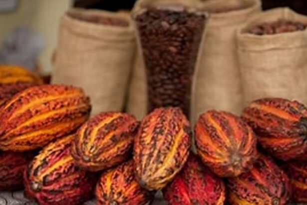 café et cacao