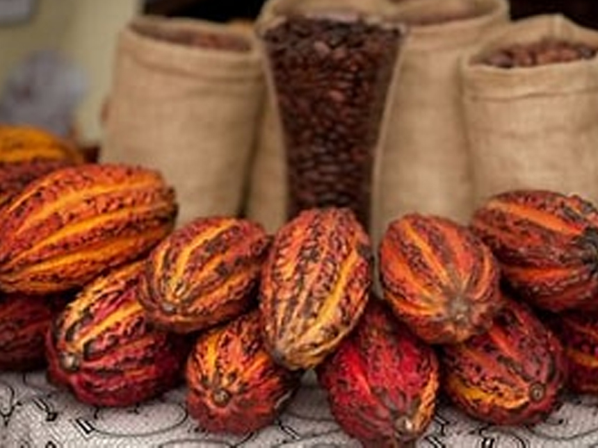 café et cacao