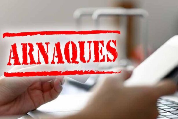 arnaqueurs