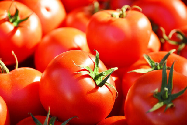 Tomate