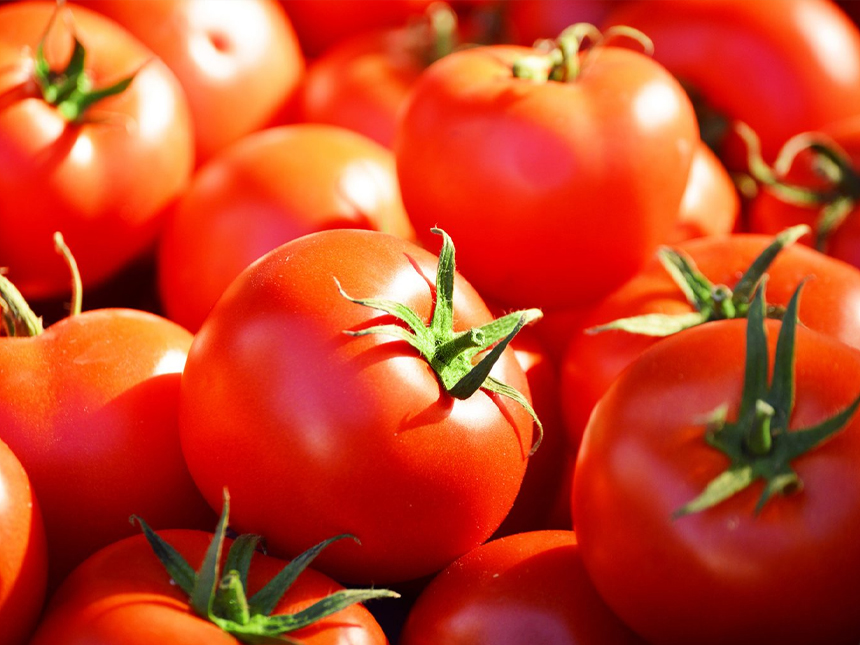 Tomate
