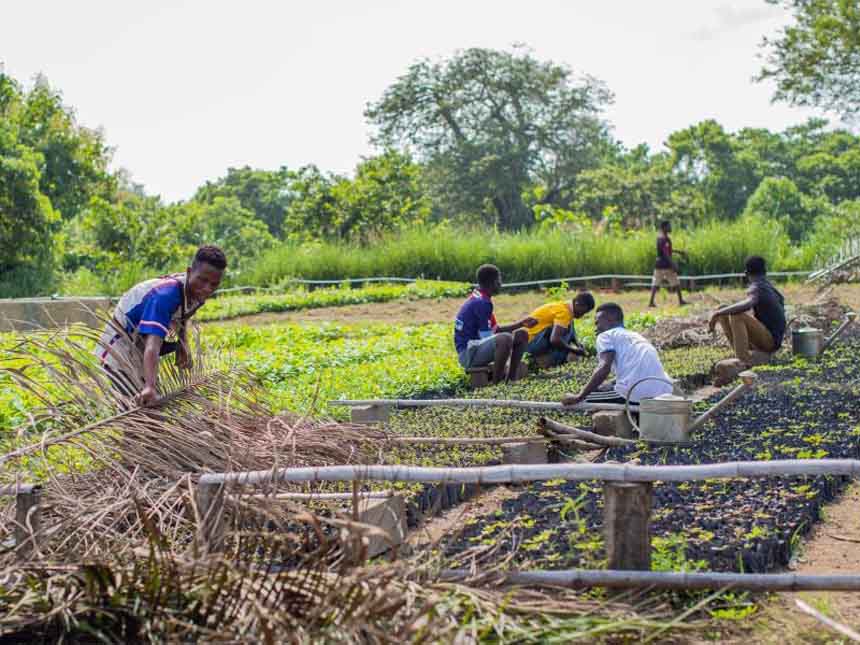 producteurs